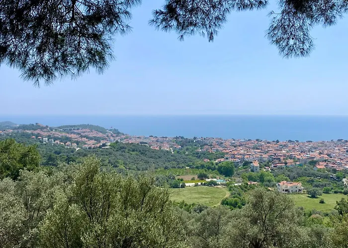 Vitamin Sea Özdere